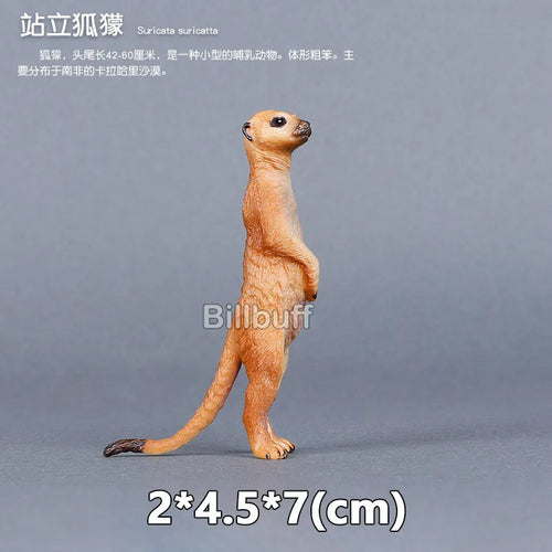 Simulated Wildlife Animal Models for Zoo and Play - Wolf, Monkey, Fox, Chameleon, Pangolin ToylandEU.com Toyland EU