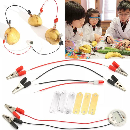 Potato Fruit Biologia Energy Science Experiment Kit for Kids - ToylandEU