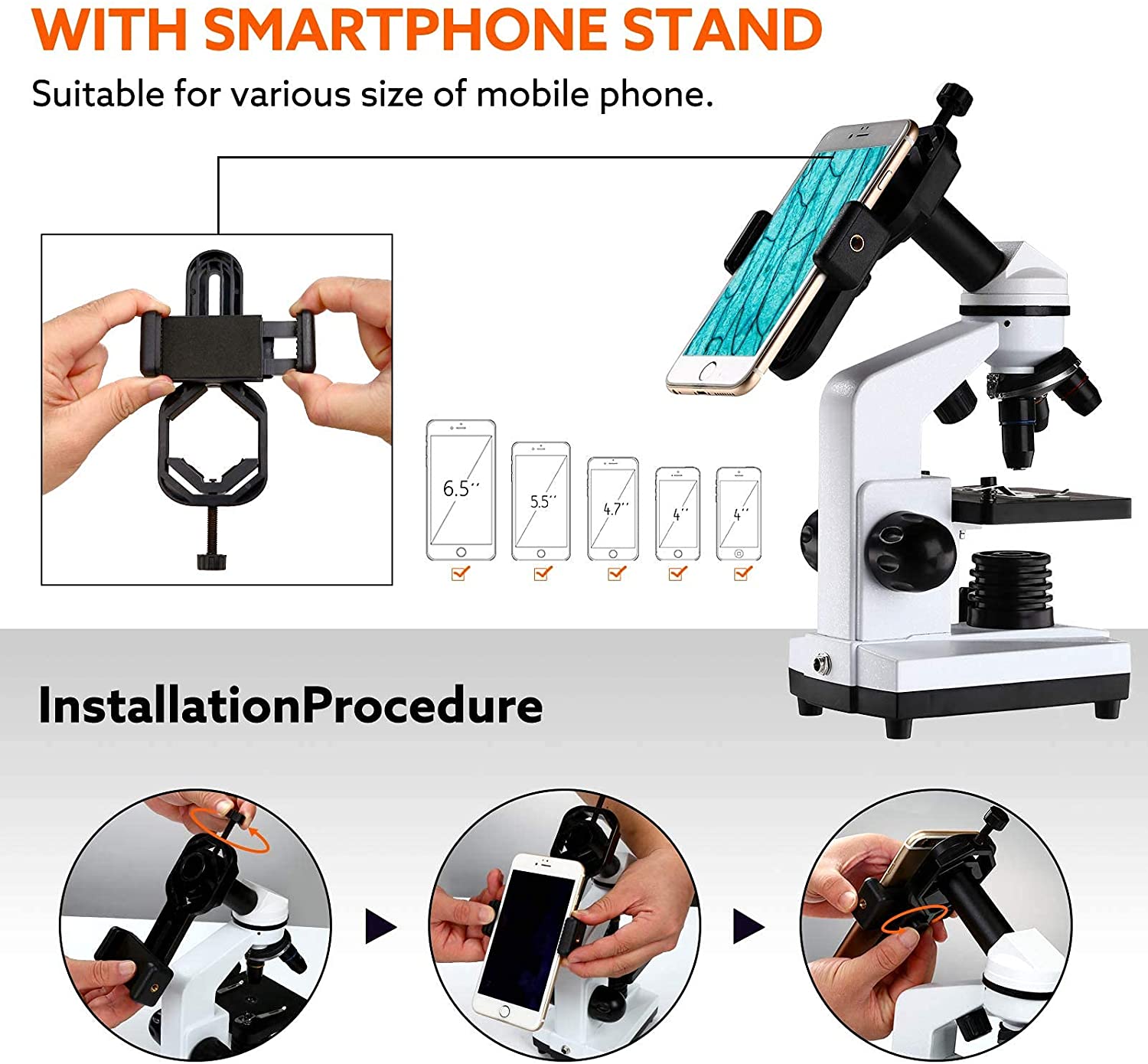 Powerful 40X-1600X Biological Microscope with Slides Set and Phone Adapter - ToylandEU