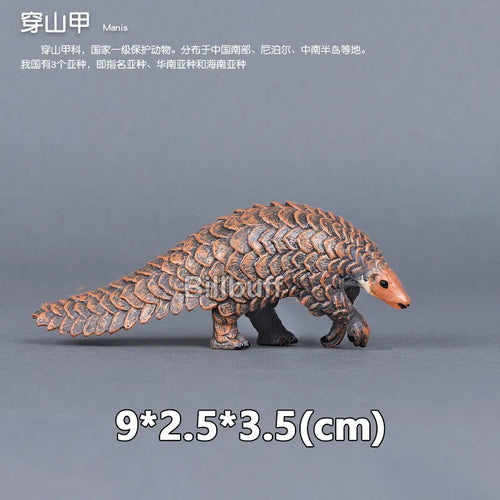 Simulated Wildlife Animal Models for Zoo and Play - Wolf, Monkey, Fox, Chameleon, Pangolin ToylandEU.com Toyland EU