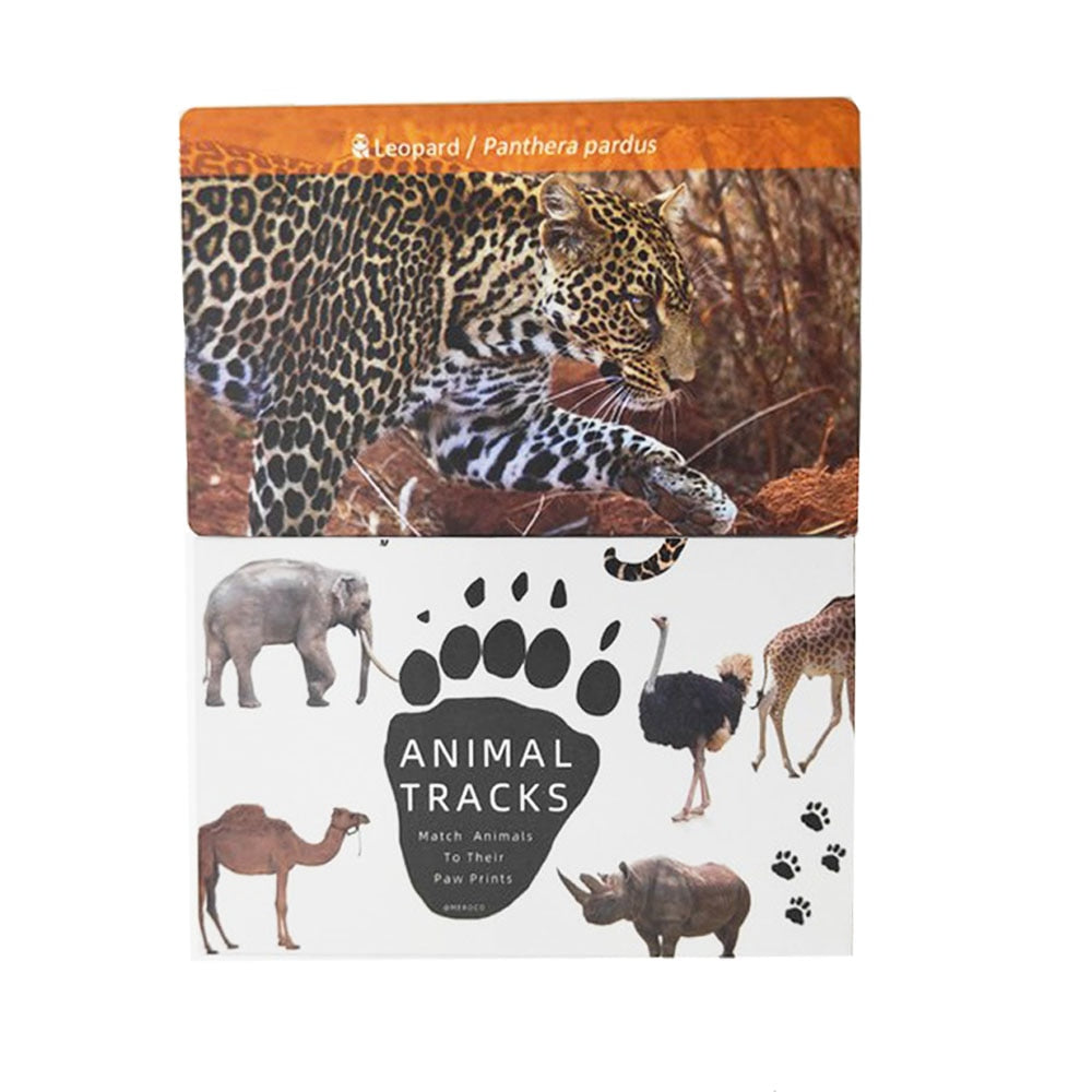 Animals and Footprints Montessori English Flash Cards for Early Learning