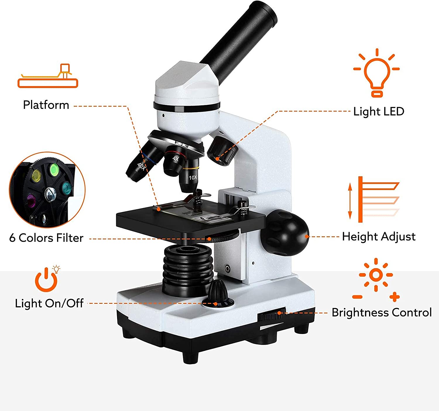 Powerful 40X-1600X Biological Microscope with Slides Set and Phone Adapter - ToylandEU