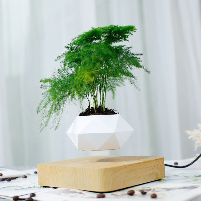 Levitating Air Bonsai Pot Rotation Planters - Magnetic Suspension Flower Pot - ToylandEU