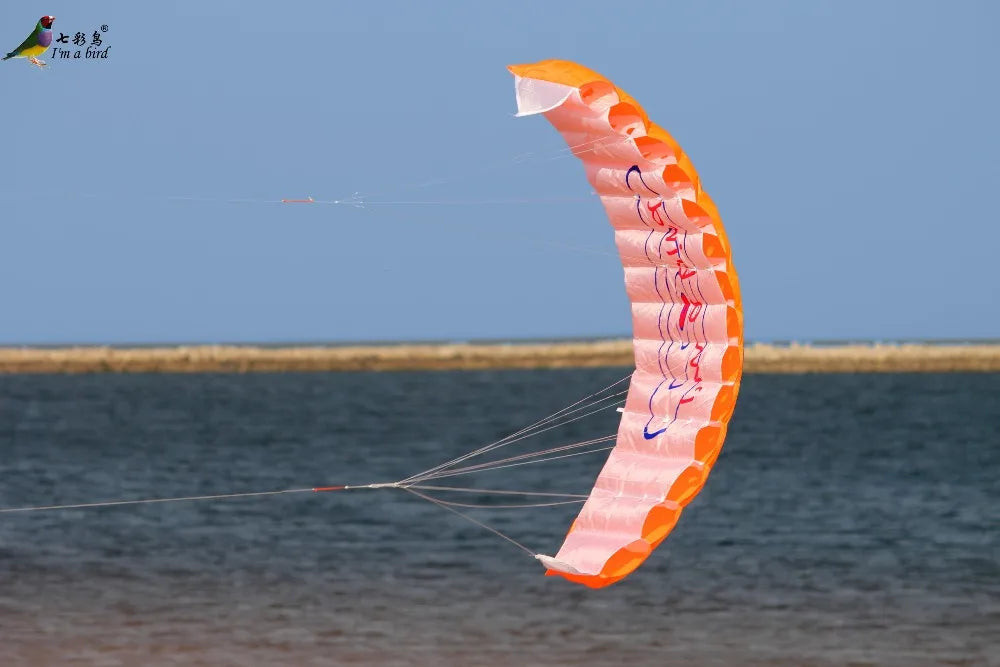 Parafoil Kite | Dual Line Stunt | Rainbow Color | Beginner Friendly