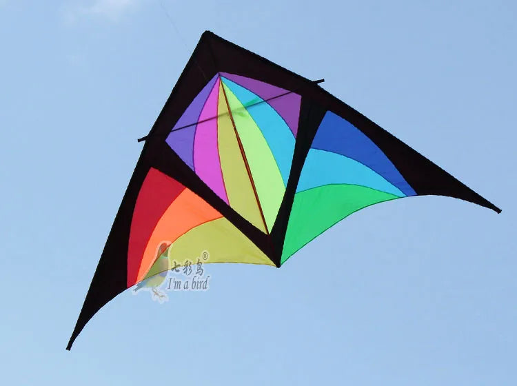 Kite | Delta Power Kite 168 Inch | With Handle Line | Multicolor