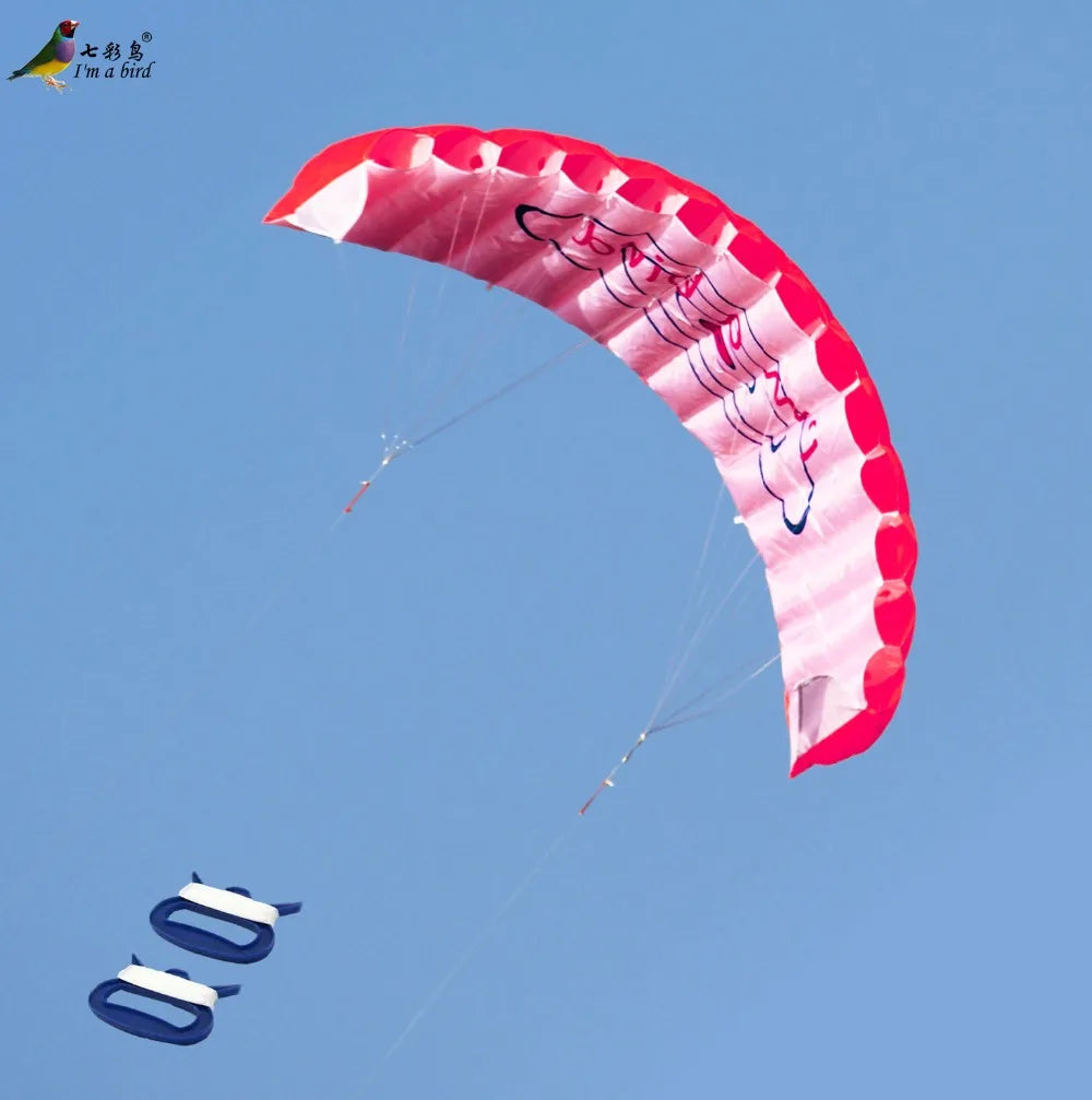 Parafoil Kite | Dual Line Stunt | Rainbow Color | Beginner Friendly