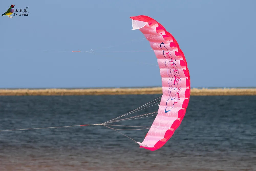 Parafoil Kite | Dual Line Stunt | Rainbow Color | Beginner Friendly