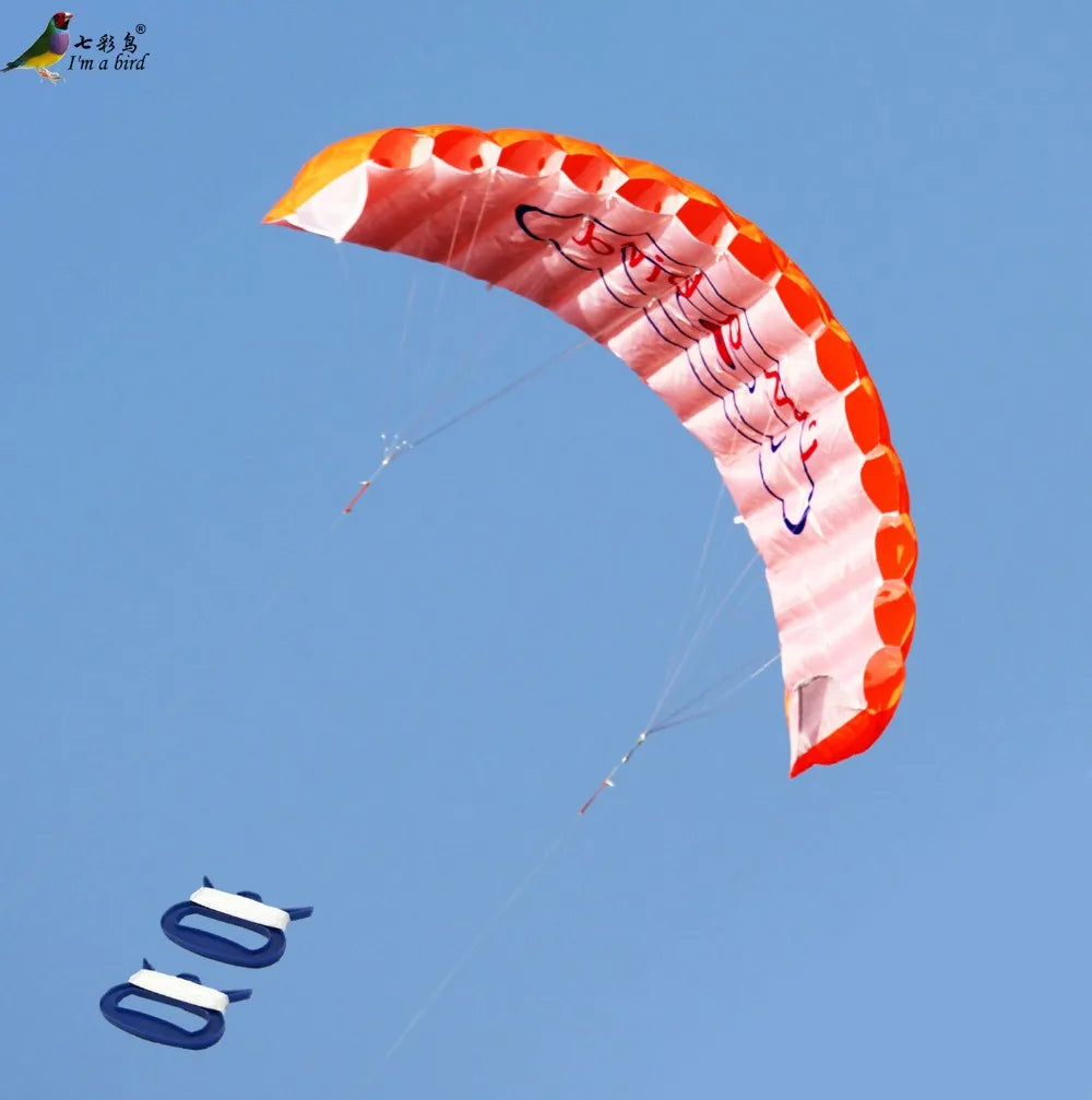 Parafoil Kite | Dual Line Stunt | Rainbow Color | Beginner Friendly