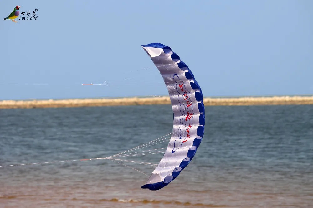 Parafoil Kite | Dual Line Stunt | Rainbow Color | Beginner Friendly