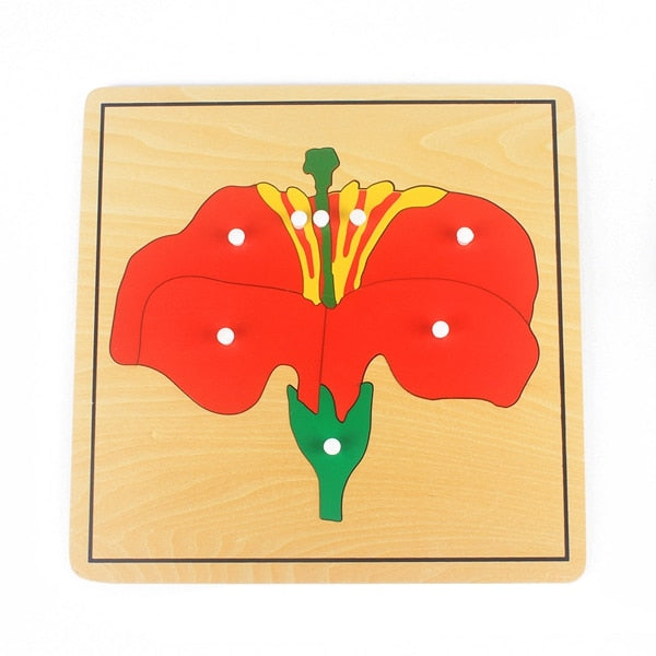 Montessori Wooden Plant and Animal Puzzle for Children's Early Learning Toyland EU Toyland EU