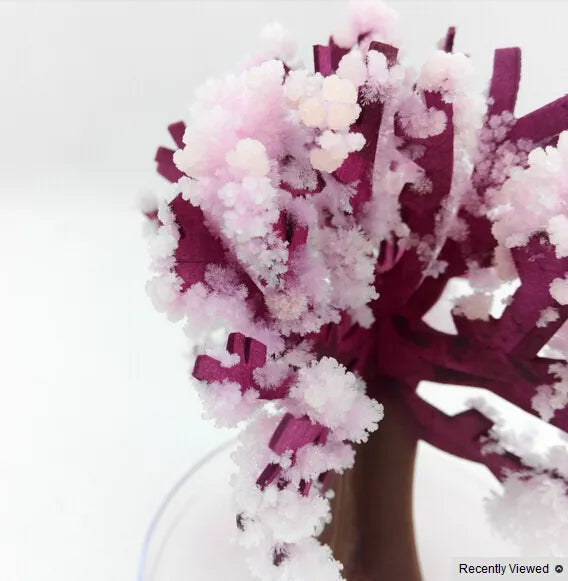 Enchanting Sakura Crystal Tree Science Toy - Cherry Blossom Novelty Product - ToylandEU