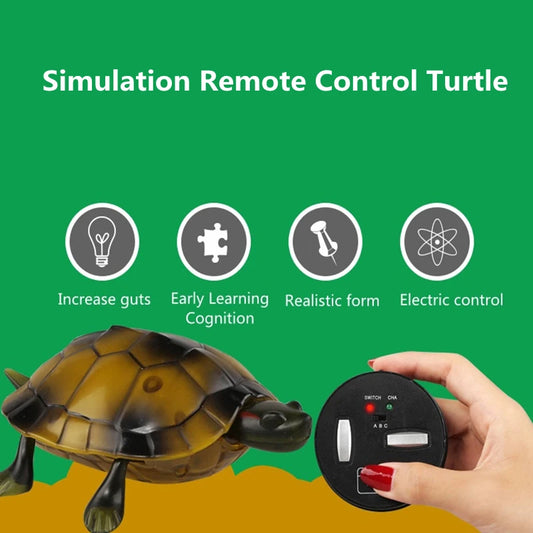 Remote Control Turtle RC Toy With Eye Lights For Learning