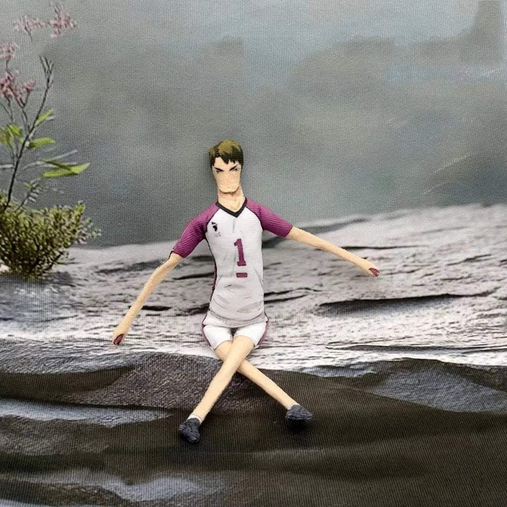 Haikyuu Hinata Shoyo Doll | 28cm Twistable Pose | Toylandeu™