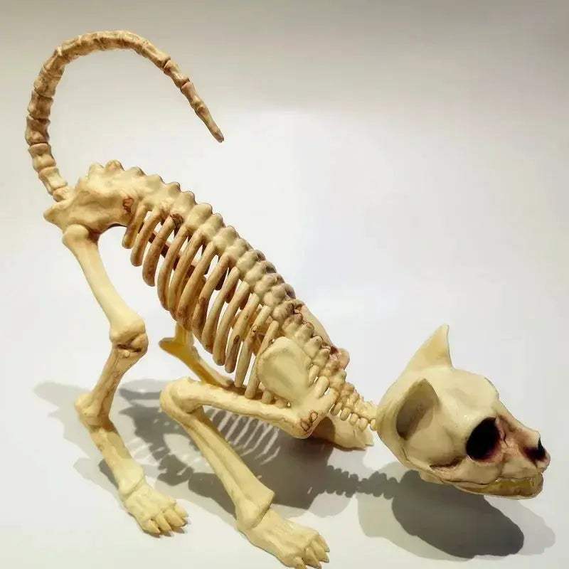Halloween Cat Skeleton Decoration With Crouching Pose - ToylandEU