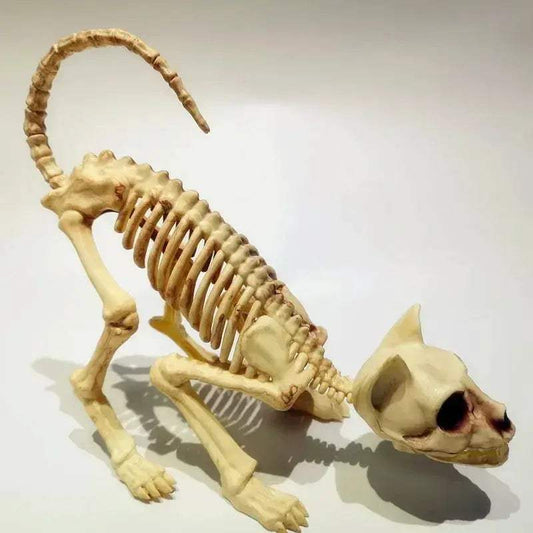 Halloween Cat Skeleton Decoration With Crouching Pose - ToylandEU
