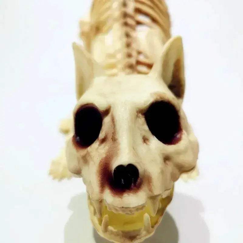 Halloween Cat Skeleton Decoration With Crouching Pose - ToylandEU