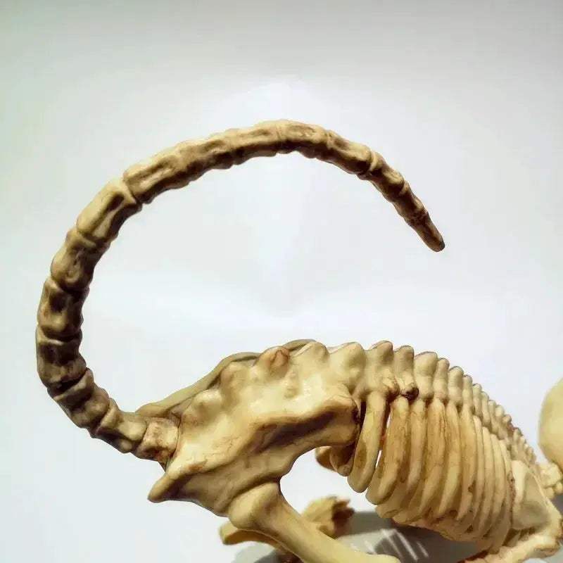 Halloween Cat Skeleton Decoration With Crouching Pose - ToylandEU