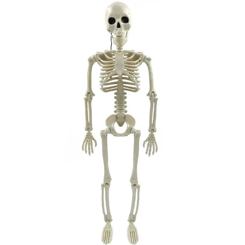 Halloween Skeleton Decor Movable Joints Full Size Yard Statue - ToylandEU
