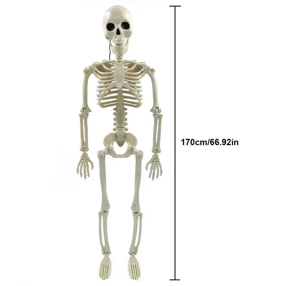 Halloween Skeleton Decor Movable Joints Full Size Yard Statue - ToylandEU