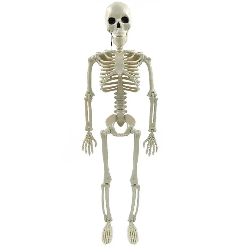  Halloween Skeleton Decor Movable Joints Outdoor Statue -  ToylandEU™