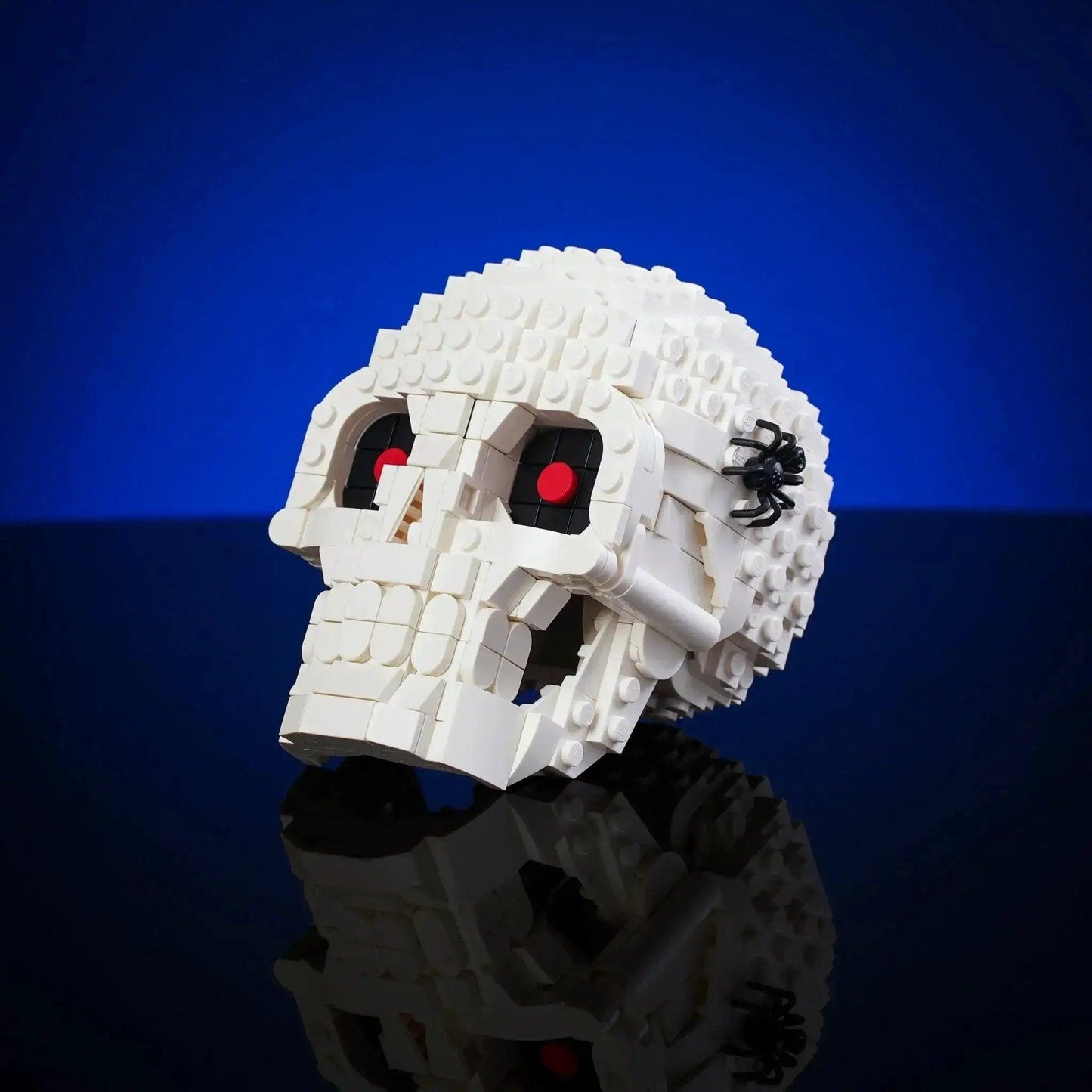  Halloween Skull Prop Hinged Jaw With Spooky Spider -  ToylandEU™