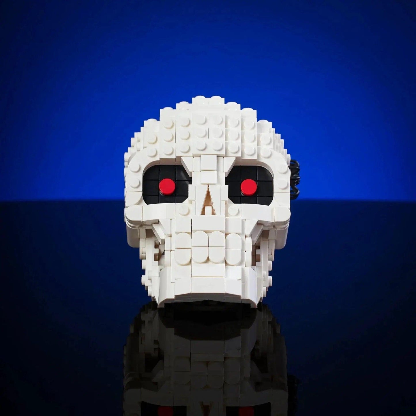  Halloween Skull Prop Hinged Jaw With Spooky Spider -  ToylandEU™