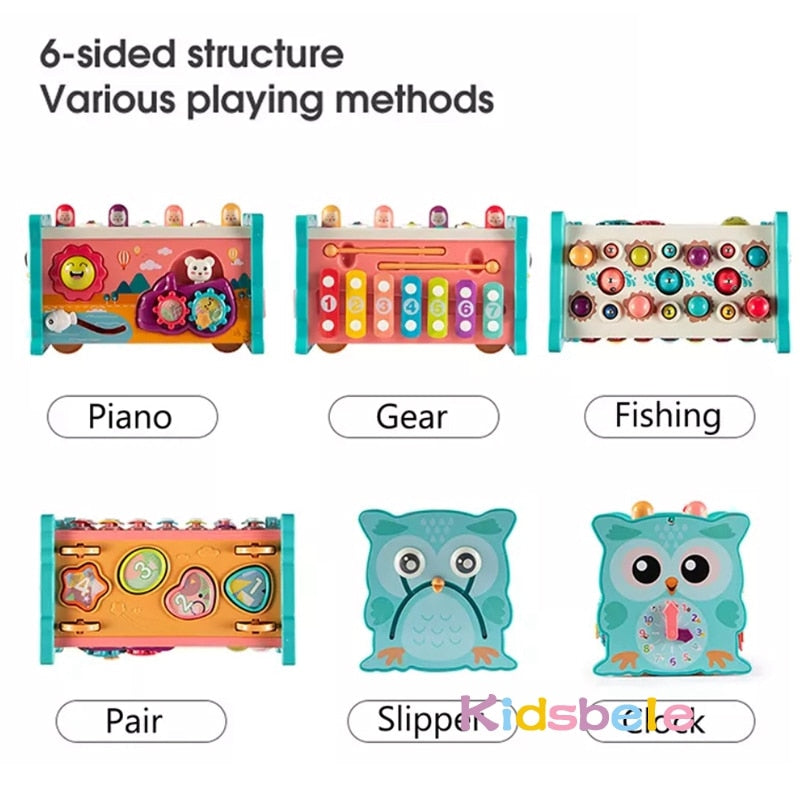 Early Learning Educational Matching Sorter Toy for Toddlers
