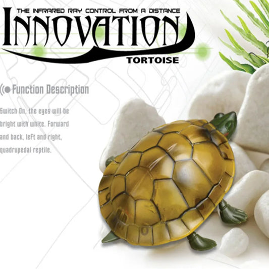 Remote Control Turtle RC Toy With Eye Lights For Learning
