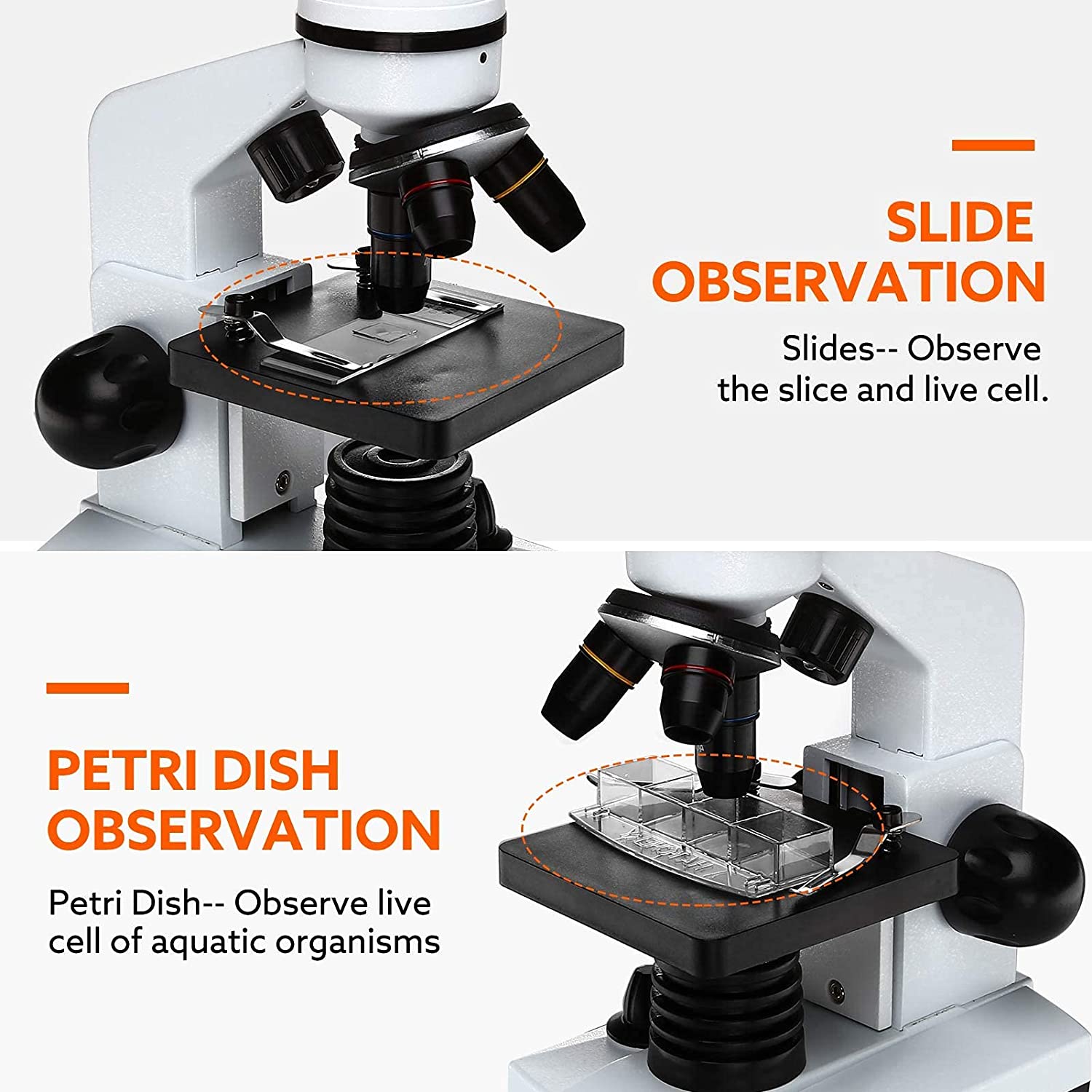 Powerful 40X-1600X Biological Microscope with Slides Set and Phone Adapter - ToylandEU