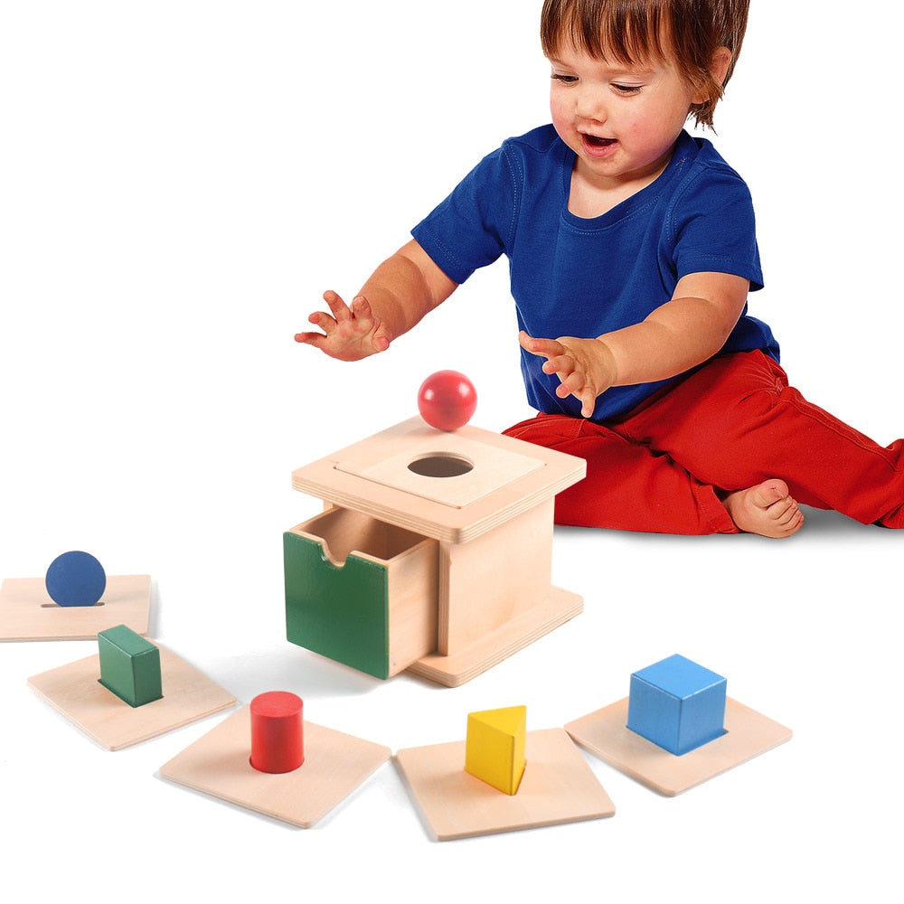 Montessori Shape Sorting Wooden Educational Toy for Toddlers - ToylandEU