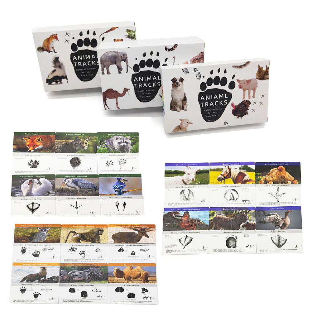 Animals and Footprints Montessori English Flash Cards for Early Learning
