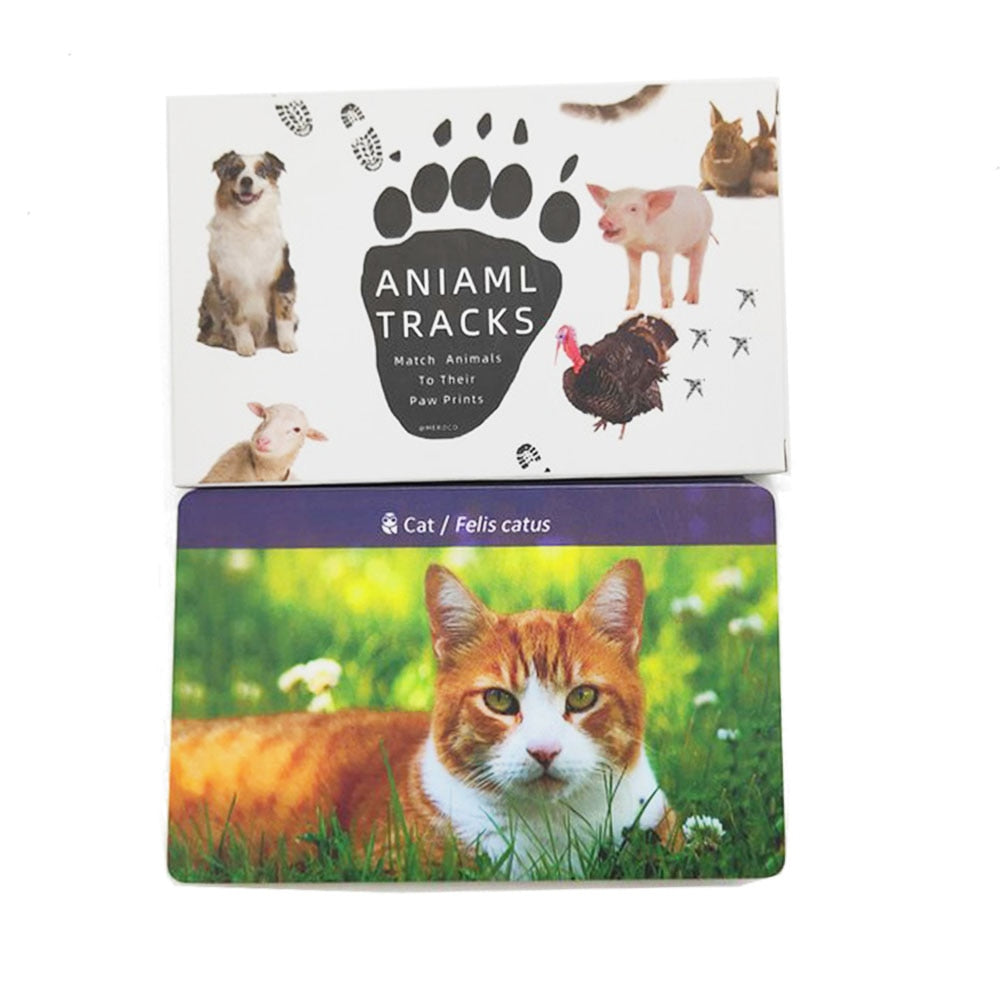 Animals and Footprints Montessori English Flash Cards for Early Learning - ToylandEU