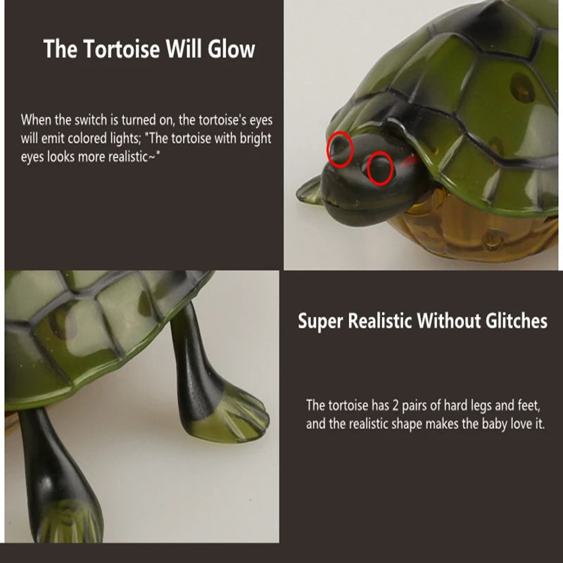 Remote Control Turtle RC Toy With Eye Lights For Learning