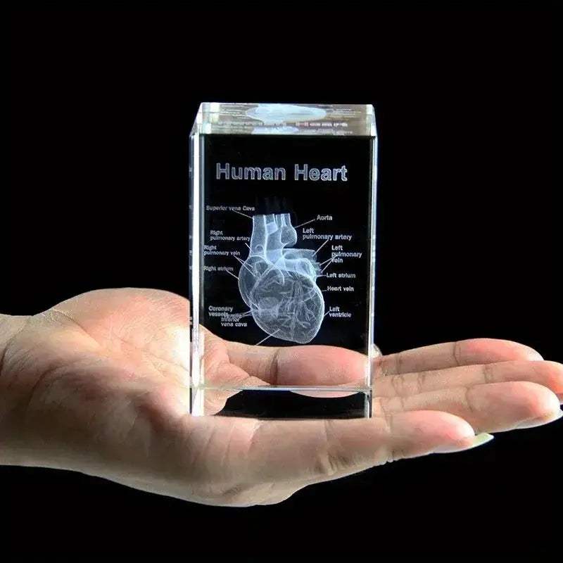 Heart Crystal Cube 3D Engraved Anatomical Model Desk Paperweight - ToylandEU