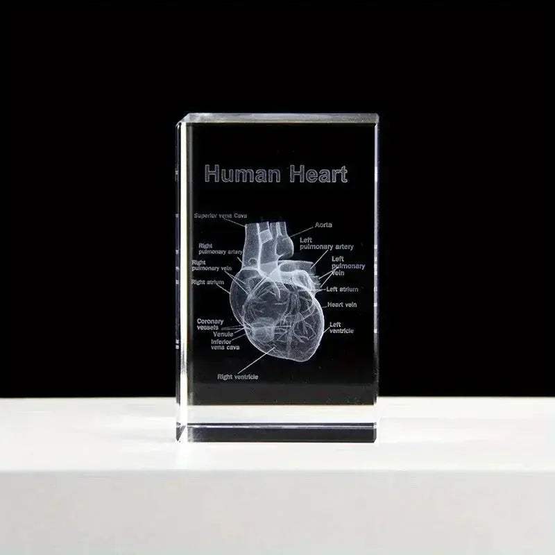 Heart Crystal Cube 3D Engraved Anatomical Model Desk Paperweight - ToylandEU