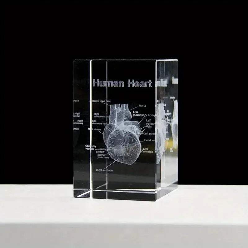 Heart Crystal Cube 3D Engraved Anatomical Model Desk Paperweight - ToylandEU