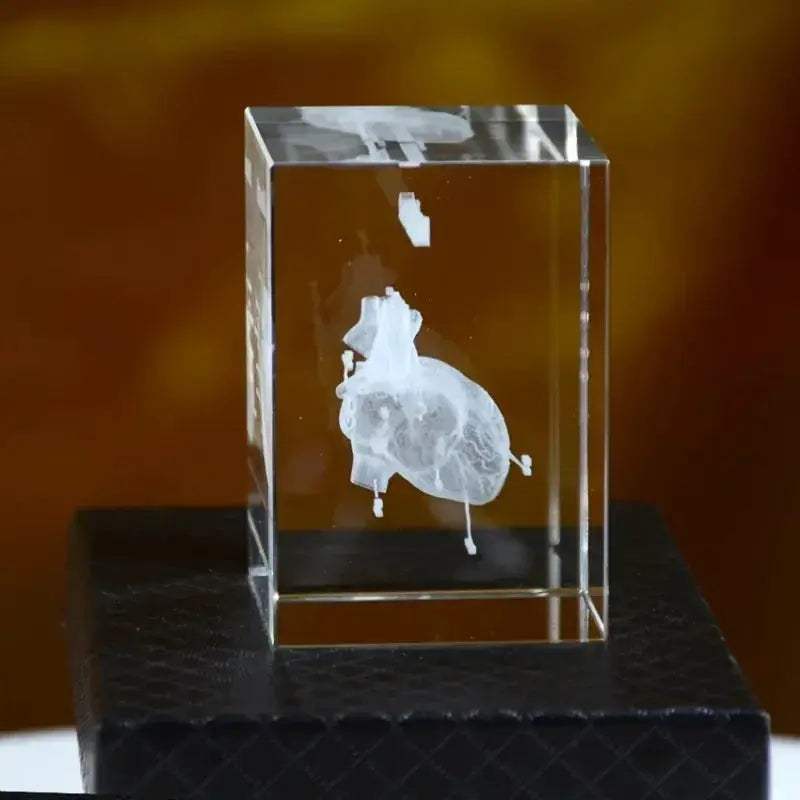 Heart Crystal Cube 3D Engraved Anatomical Model Desk Paperweight - ToylandEU