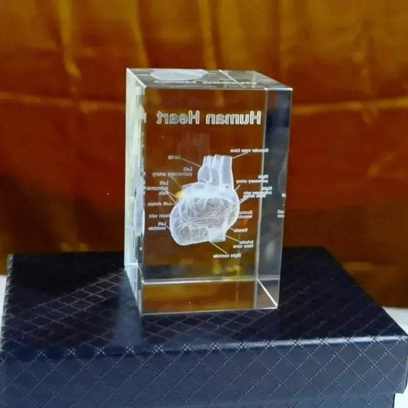 Heart Crystal Cube 3D Engraved Anatomical Model Desk Paperweight - ToylandEU