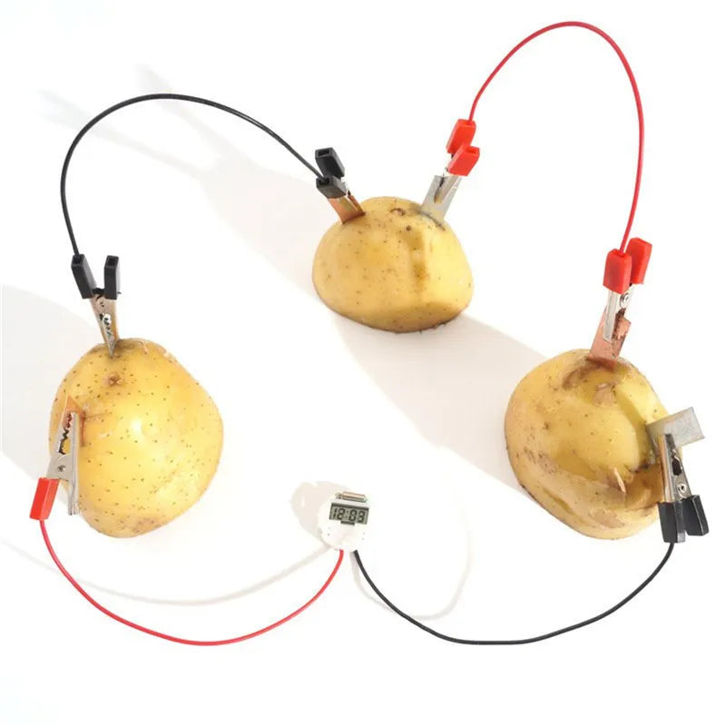 Potato Fruit Biologia Energy Science Experiment Kit for Kids - ToylandEU