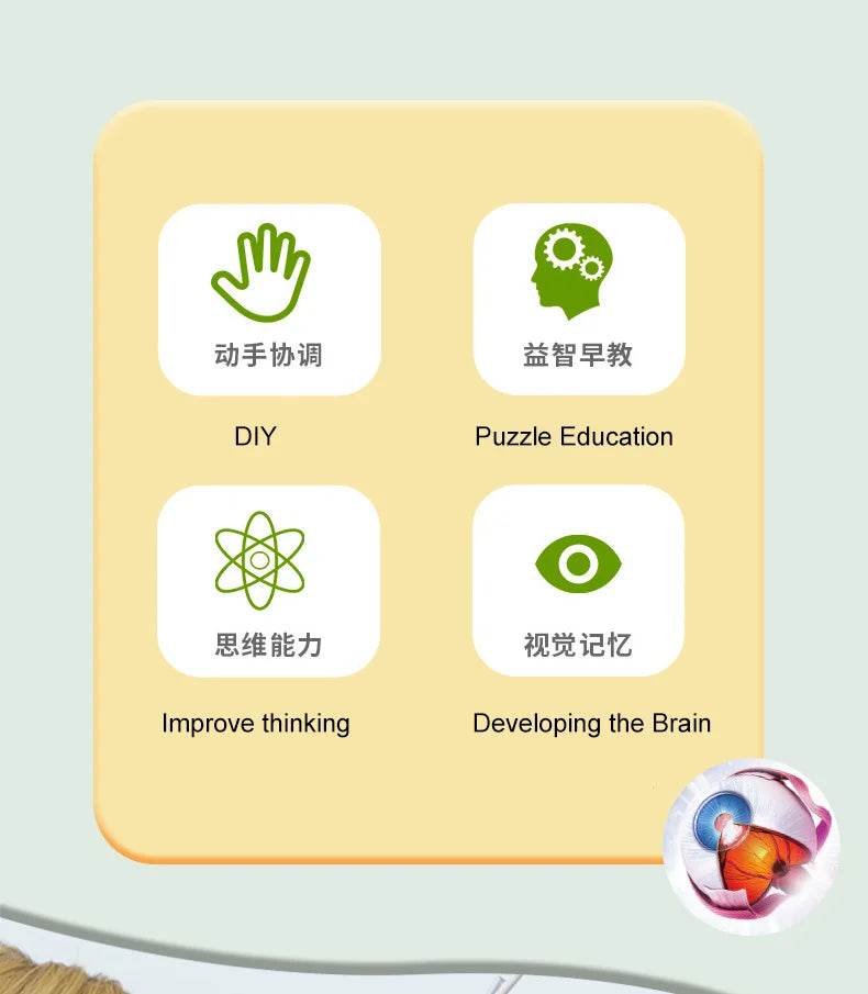 Montagem de modelo de anatomia cerebral humana 4D de alta qualidade faça você mesmo para estudo de biologia médica e ferramenta de ensino - ToylandEU