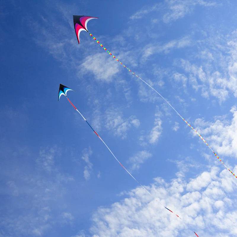 High-Quality Large Delta Kite - Perfect for Outdoor Fun & Free Shipping - ToylandEU