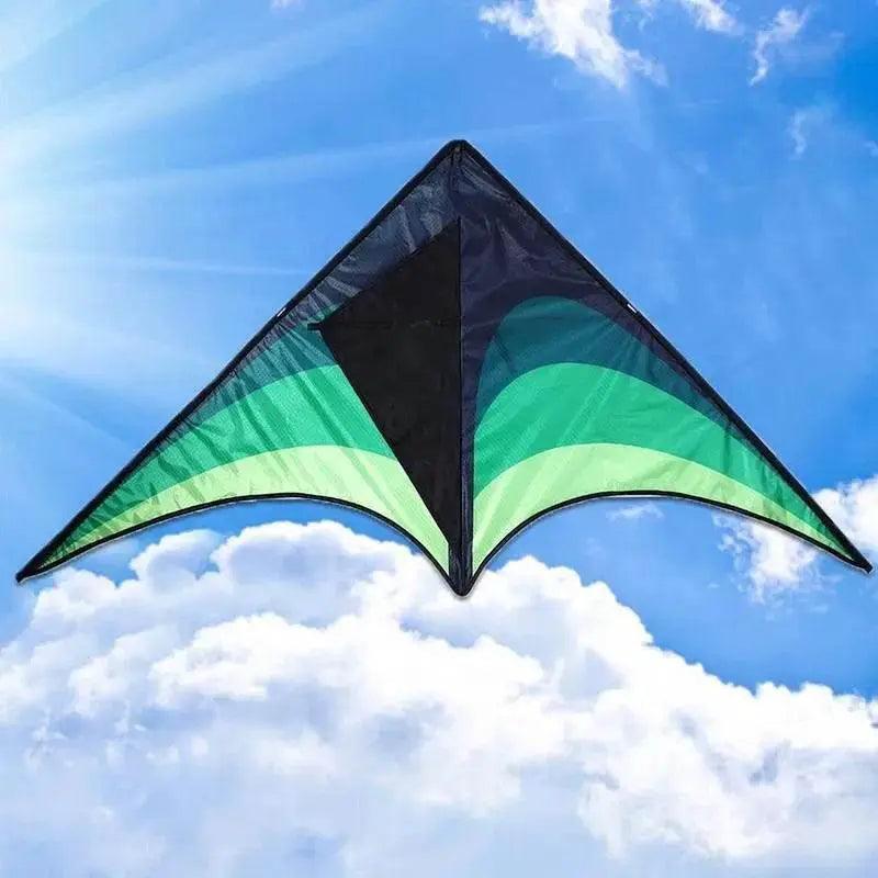  High Quality Large Delta Kites For Kids Outdoor Fun -  ToylandEU™