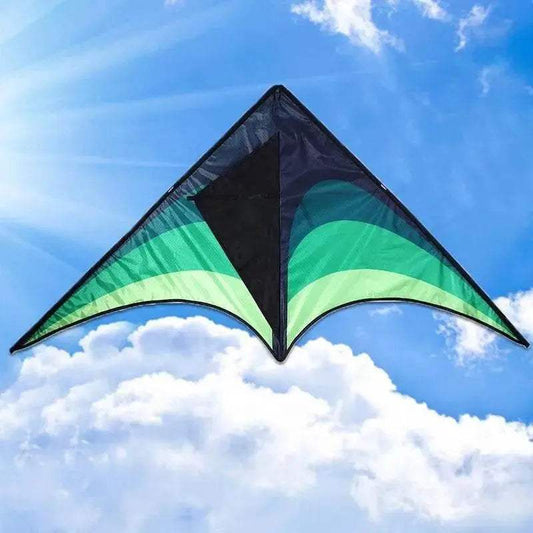  High Quality Large Delta Kites For Kids Outdoor Fun -  ToylandEU™
