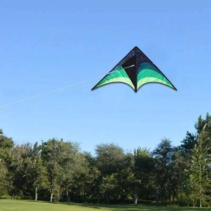  High Quality Large Delta Kites For Kids Outdoor Fun -  ToylandEU™