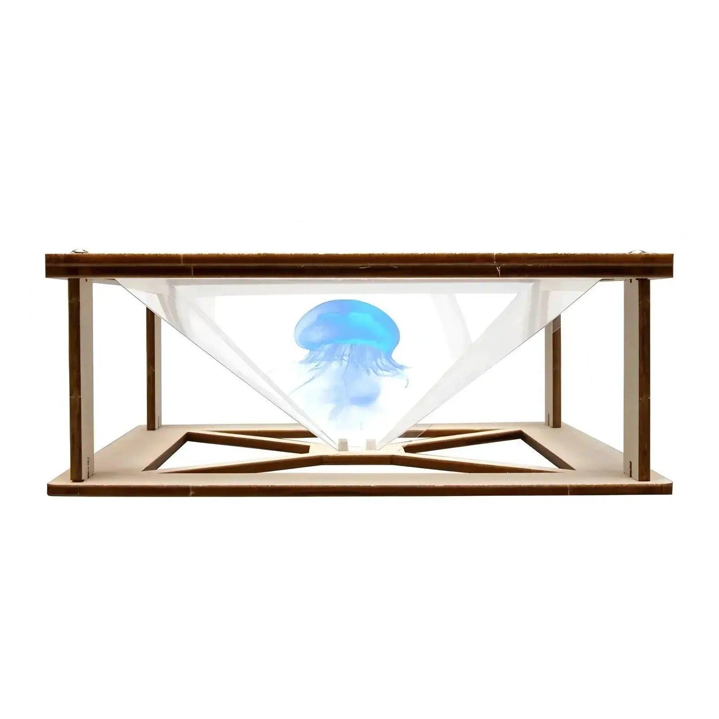  Holographic Projection Science Kit For Kids STEM Toys -  ToylandEU™
