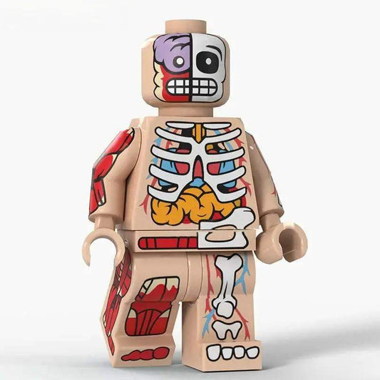  Transparent Visible Anatomy Minifigure Lego Compatible -  ToylandEU™