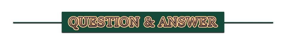 In Stock Demoniacal Fit Dragon Ball Legendary Berserker Action Figures Broly Figurine Gk Statue Collectible Model - ToylandEU