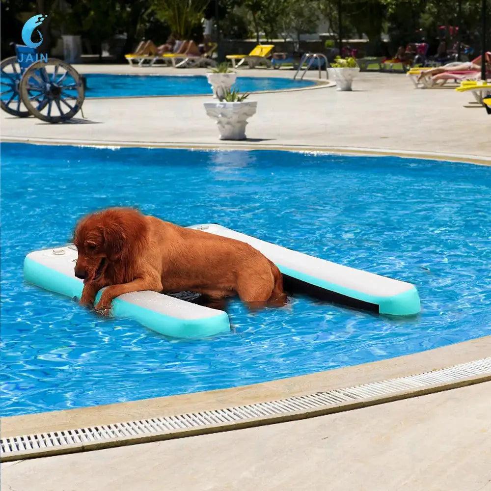  Inflatable Dog Water Ramp Durable PVC For Pool Access -  ToylandEU™