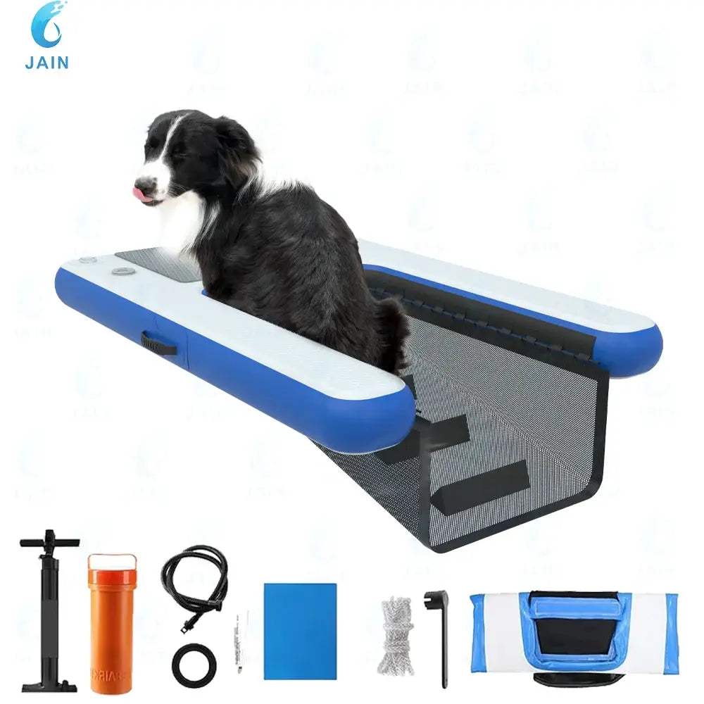  Inflatable Dog Water Ramp Durable PVC For Pool Access -  ToylandEU™