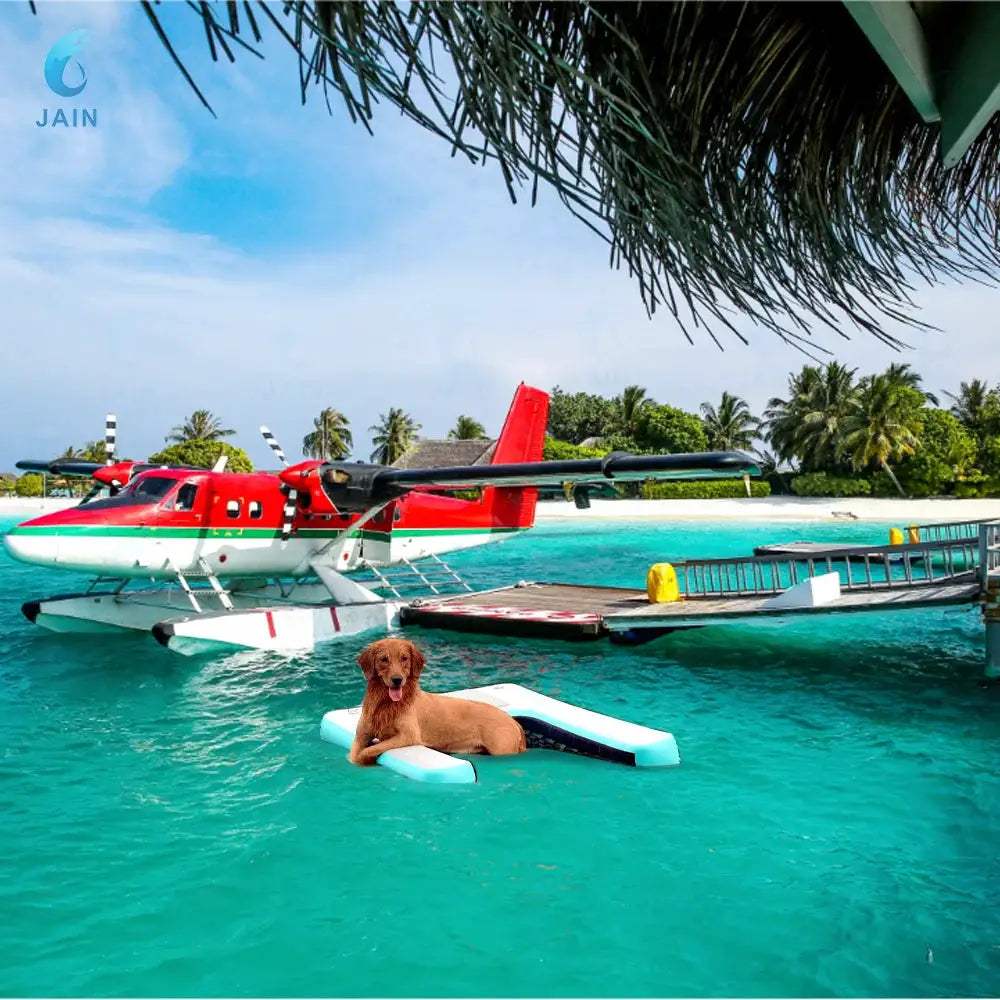  Inflatable Dog Water Ramp Durable PVC For Pool Access -  ToylandEU™